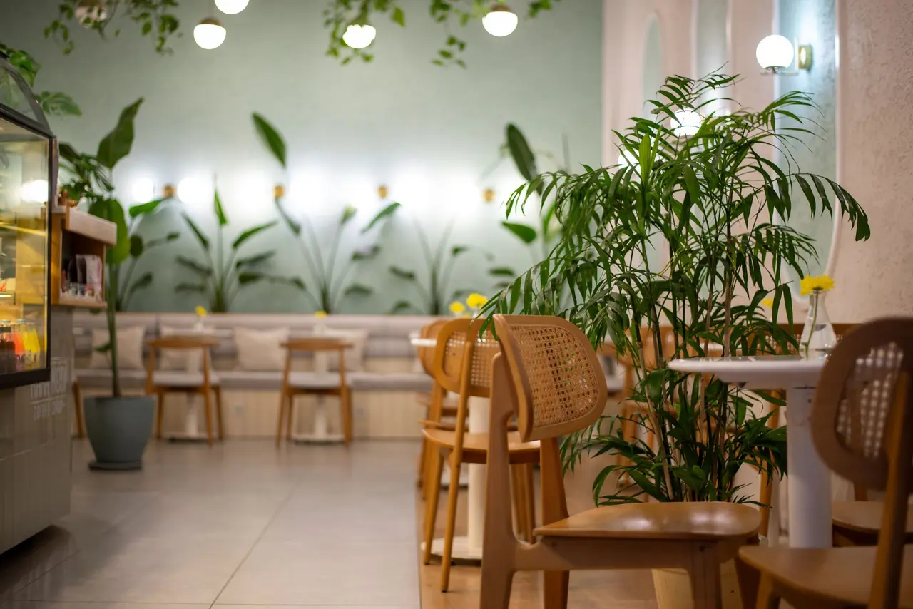 A bright café with wooden chairs and plants